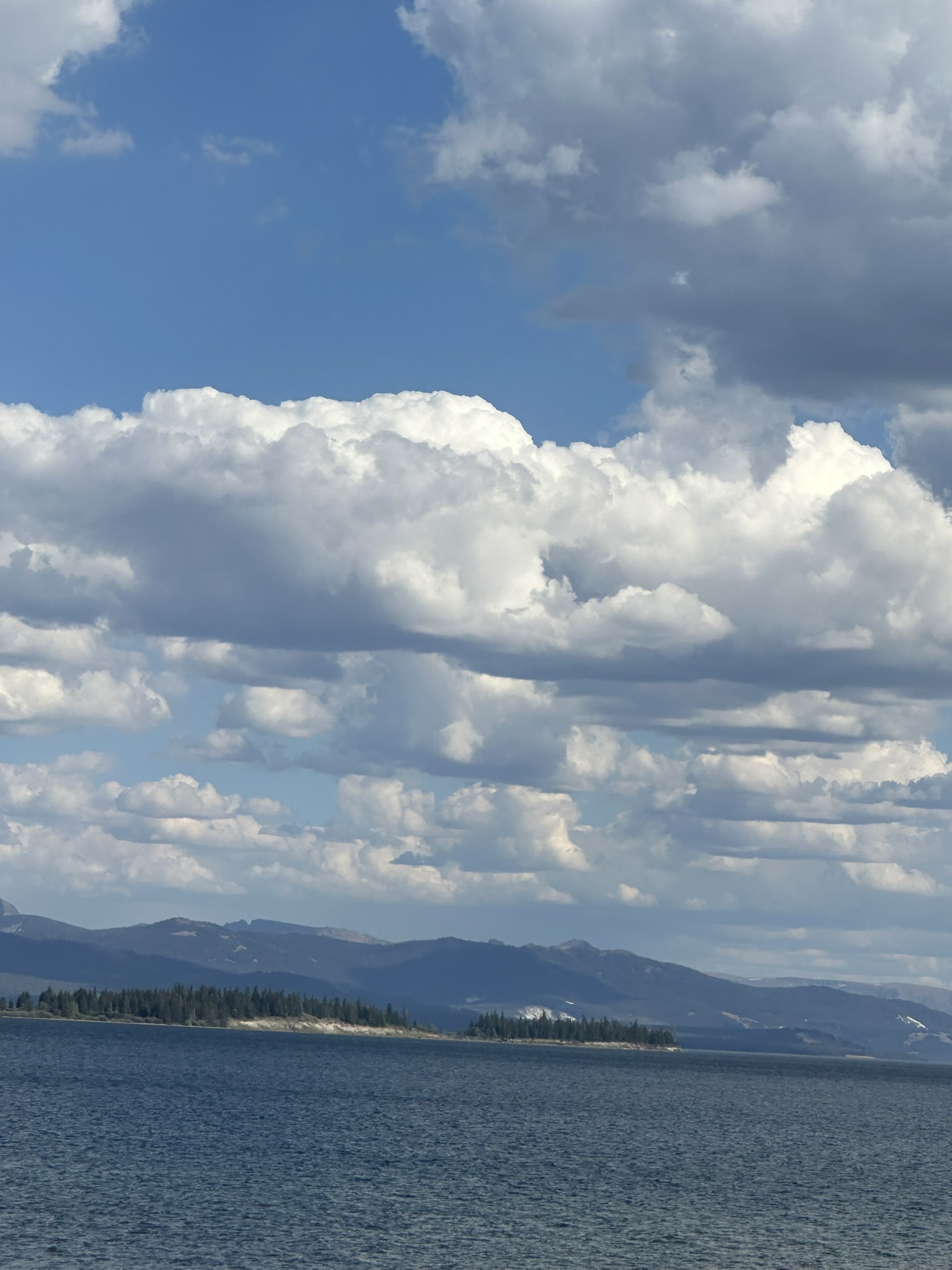 Yellowstone And Grand Teton National Parks - Image 1485
